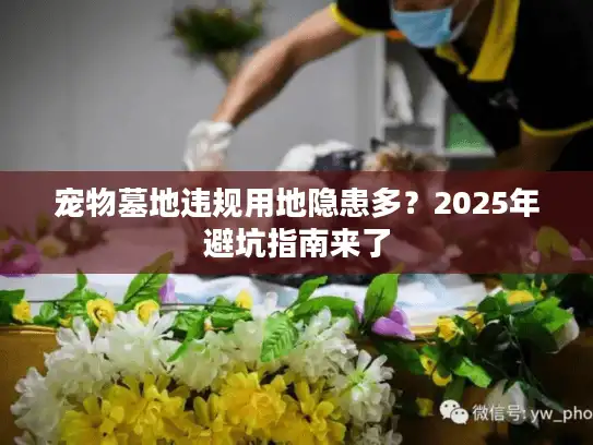 宠物墓地违规用地隐患多？2025年避坑指南来了
