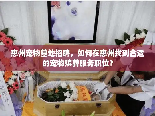 惠州宠物墓地招聘，如何在惠州找到合适的宠物殡葬服务职位？