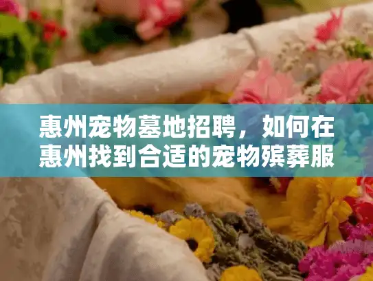 惠州宠物墓地招聘，如何在惠州找到合适的宠物殡葬服务职位？