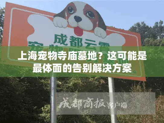上海宠物寺庙墓地？这可能是最体面的告别解决方案