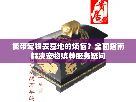 能带宠物去墓地的烦恼？全面指南解决宠物殡葬服务疑问