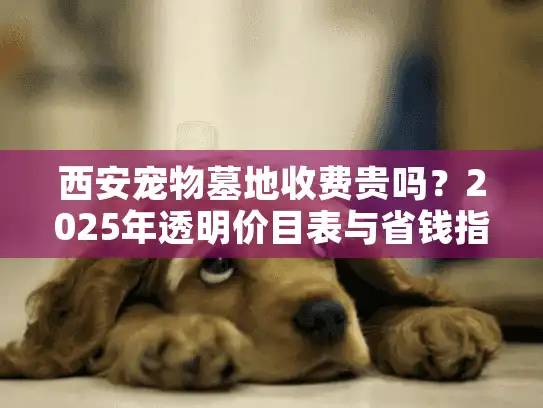 西安宠物墓地收费贵吗？2025年透明价目表与省钱指南