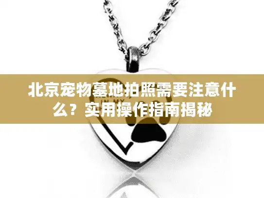 北京宠物墓地拍照需要注意什么？实用操作指南揭秘