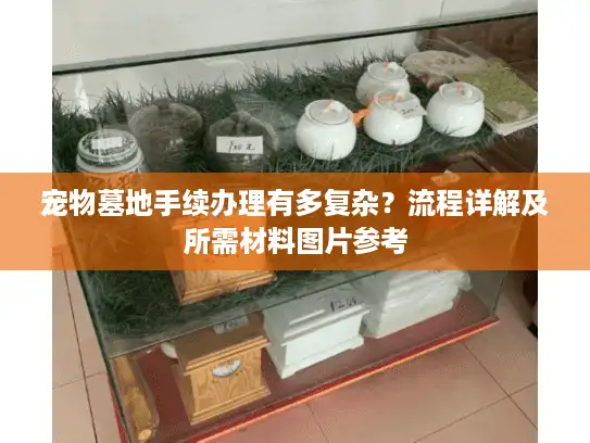 宠物墓地手续办理有多复杂？流程详解及所需材料图片参考