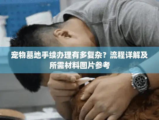 宠物墓地手续办理有多复杂？流程详解及所需材料图片参考