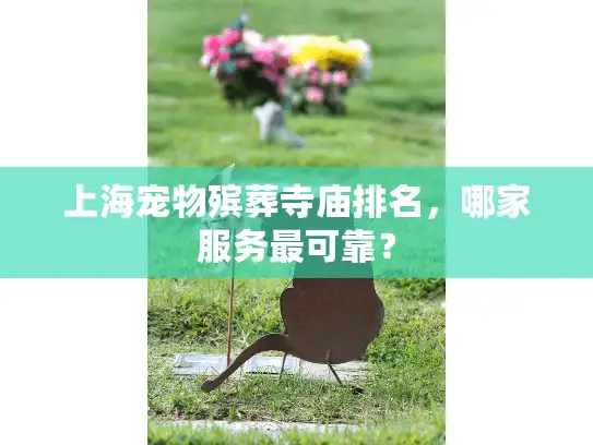 上海宠物殡葬寺庙排名，哪家服务最可靠？