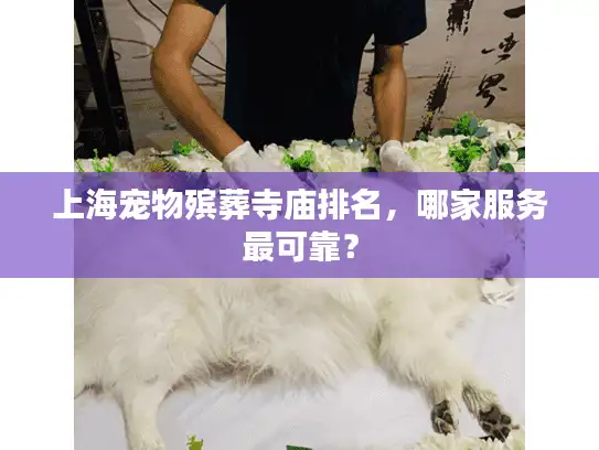 上海宠物殡葬寺庙排名，哪家服务最可靠？