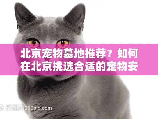 北京宠物墓地推荐？如何在北京挑选合适的宠物安息地