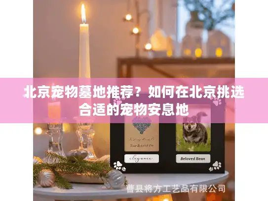 北京宠物墓地推荐？如何在北京挑选合适的宠物安息地