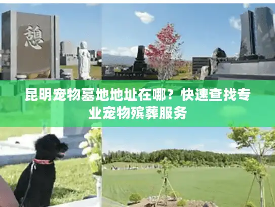 昆明宠物墓地地址在哪？快速查找专业宠物殡葬服务