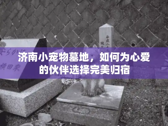 济南小宠物墓地，如何为心爱的伙伴选择完美归宿