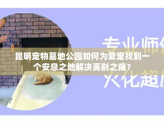 昆明宠物墓地公园如何为爱宠找到一个安息之地解决离别之痛？