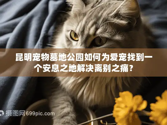 昆明宠物墓地公园如何为爱宠找到一个安息之地解决离别之痛？