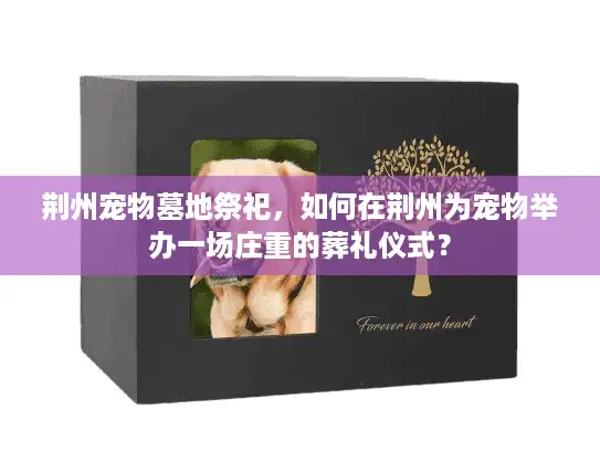 荆州宠物墓地祭祀，如何在荆州为宠物举办一场庄重的葬礼仪式？