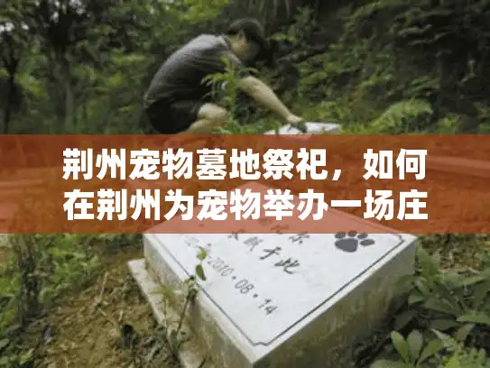 荆州宠物墓地祭祀，如何在荆州为宠物举办一场庄重的葬礼仪式？