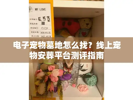 电子宠物墓地怎么找？线上宠物安葬平台测评指南