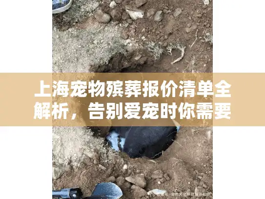 上海宠物殡葬报价清单全解析，告别爱宠时你需要知道的费用明细