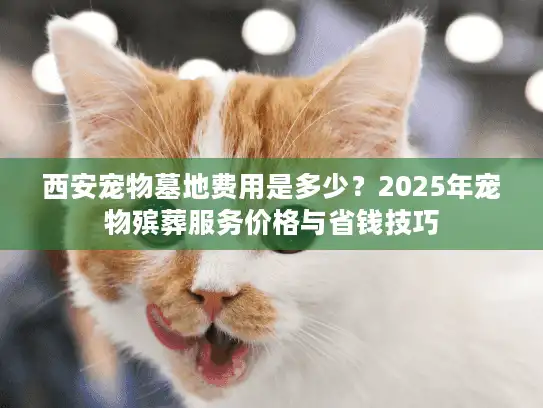 西安宠物墓地费用是多少？2025年宠物殡葬服务价格与省钱技巧