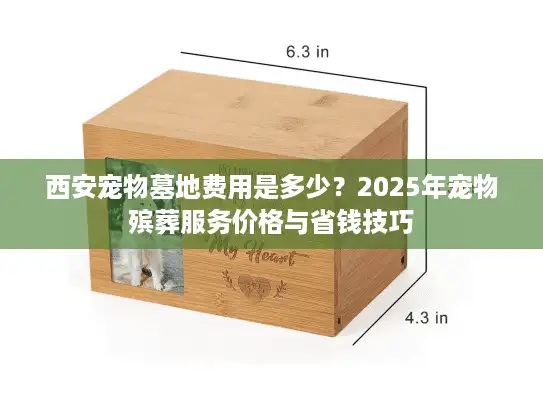 西安宠物墓地费用是多少？2025年宠物殡葬服务价格与省钱技巧