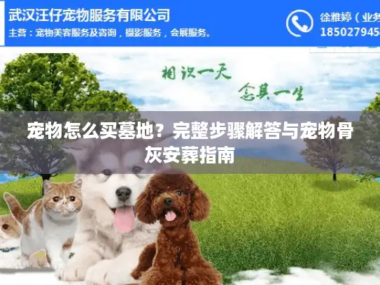 宠物怎么买墓地？完整步骤解答与宠物骨灰安葬指南