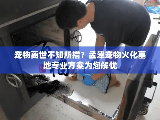 宠物离世不知所措？孟津宠物火化墓地专业方案为您解忧