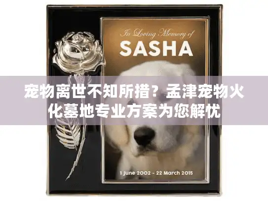 宠物离世不知所措？孟津宠物火化墓地专业方案为您解忧
