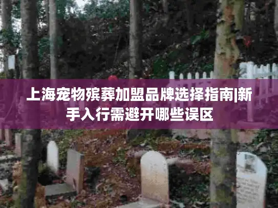 上海宠物殡葬加盟品牌选择指南|新手入行需避开哪些误区