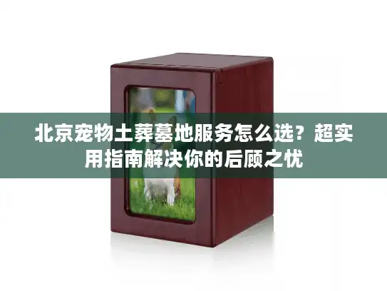 北京宠物土葬墓地服务怎么选？超实用指南解决你的后顾之忧