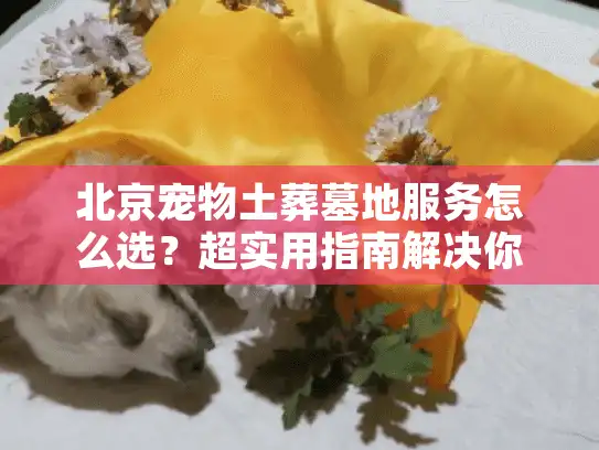 北京宠物土葬墓地服务怎么选？超实用指南解决你的后顾之忧