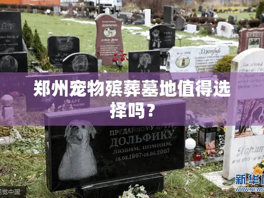 郑州宠物殡葬墓地值得选择吗？