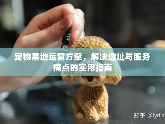 宠物墓地运营方案，解决选址与服务痛点的实用指南