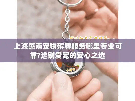 上海惠南宠物殡葬服务哪里专业可靠?送别爱宠的安心之选