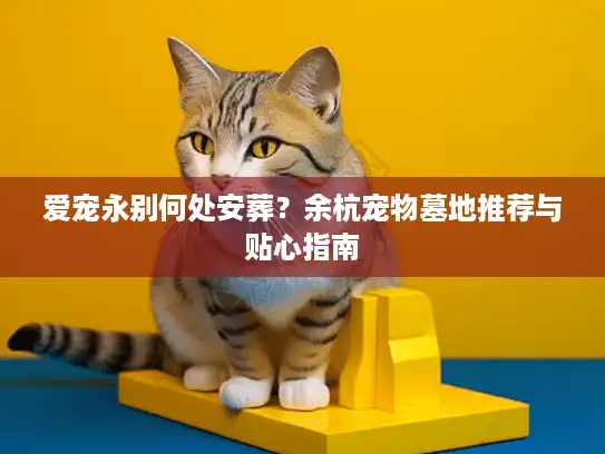 爱宠永别何处安葬？余杭宠物墓地推荐与贴心指南