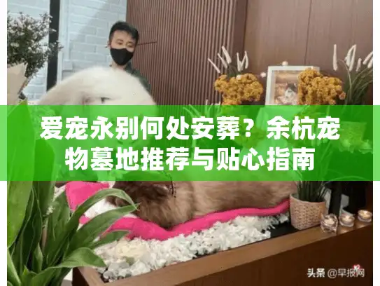 爱宠永别何处安葬？余杭宠物墓地推荐与贴心指南