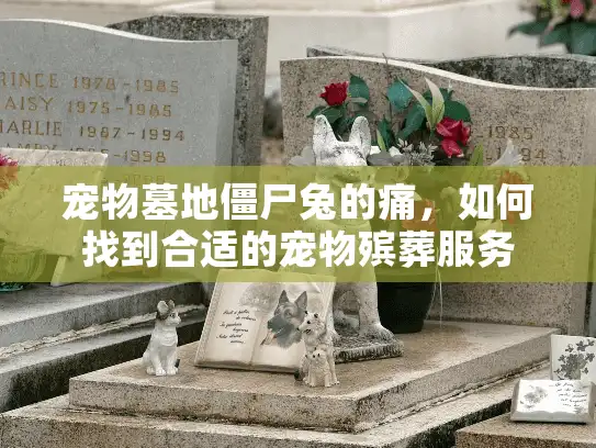 宠物墓地僵尸兔的痛，如何找到合适的宠物殡葬服务