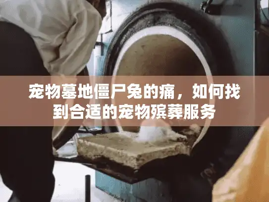 宠物墓地僵尸兔的痛，如何找到合适的宠物殡葬服务
