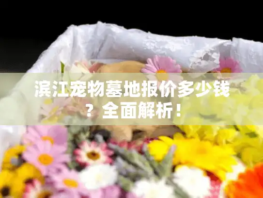 滨江宠物墓地报价多少钱？全面解析！
