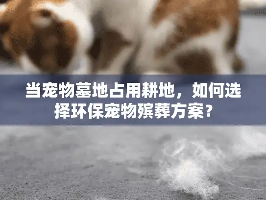 当宠物墓地占用耕地，如何选择环保宠物殡葬方案？