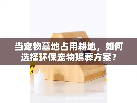 当宠物墓地占用耕地，如何选择环保宠物殡葬方案？