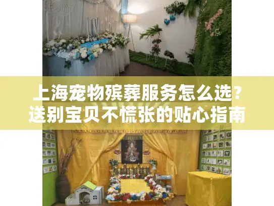 上海宠物殡葬服务怎么选？送别宝贝不慌张的贴心指南