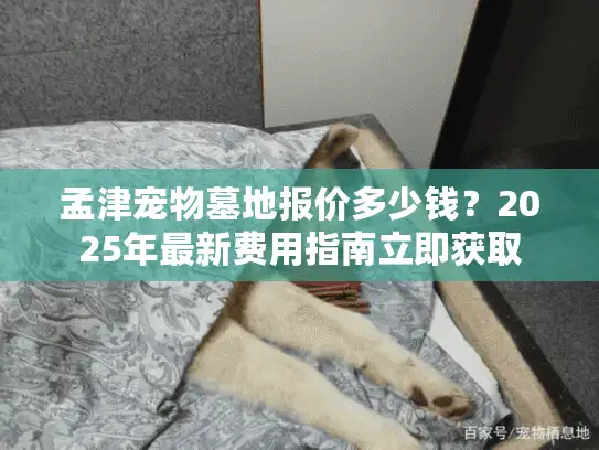 孟津宠物墓地报价多少钱？2025年最新费用指南立即获取