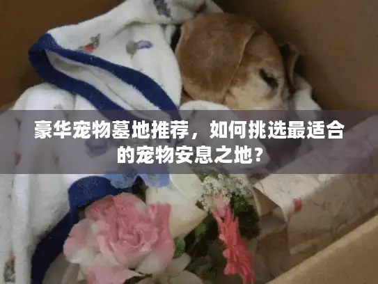 豪华宠物墓地推荐，如何挑选最适合的宠物安息之地？