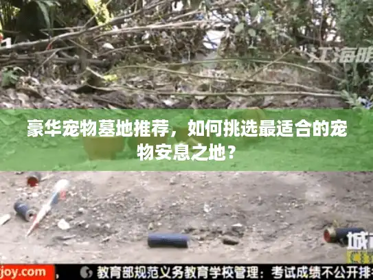 豪华宠物墓地推荐，如何挑选最适合的宠物安息之地？