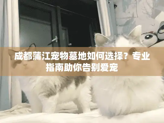 成都蒲江宠物墓地如何选择？专业指南助你告别爱宠