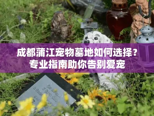 成都蒲江宠物墓地如何选择？专业指南助你告别爱宠