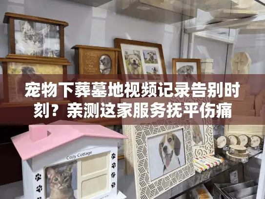 宠物下葬墓地视频记录告别时刻？亲测这家服务抚平伤痛