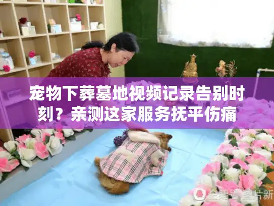 宠物下葬墓地视频记录告别时刻？亲测这家服务抚平伤痛