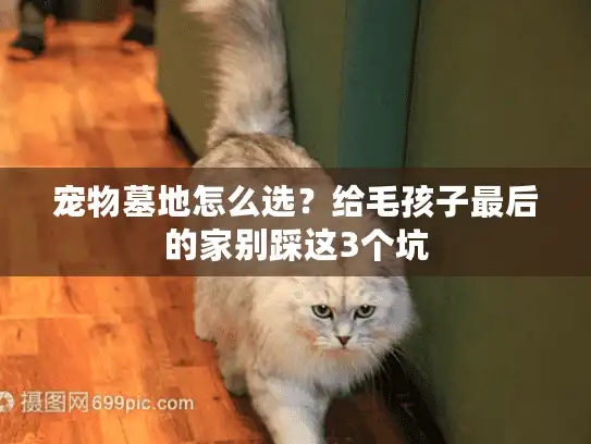 宠物墓地怎么选？给毛孩子最后的家别踩这3个坑