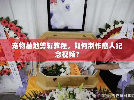 宠物墓地剪辑教程，如何制作感人纪念视频？