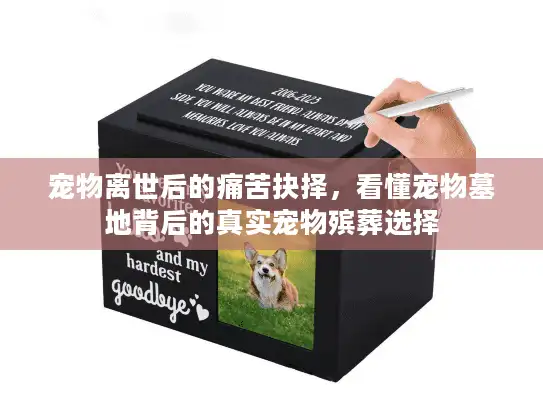 宠物离世后的痛苦抉择，看懂宠物墓地背后的真实宠物殡葬选择